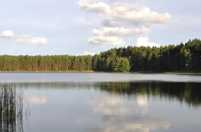 Wczasy Na Kaszubach, Balia, Sauna, Jezioro *